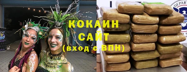 дмт Аркадак