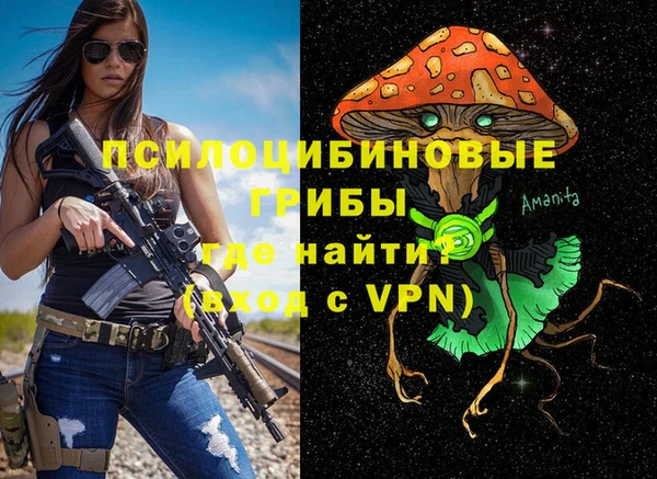 дмт Аркадак