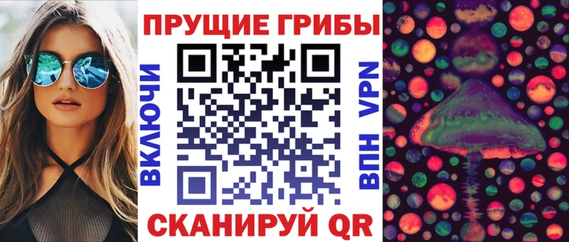 хочу наркоту  Красный Кут  Галлюциногенные грибы мухоморы 